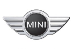 Mini logo1